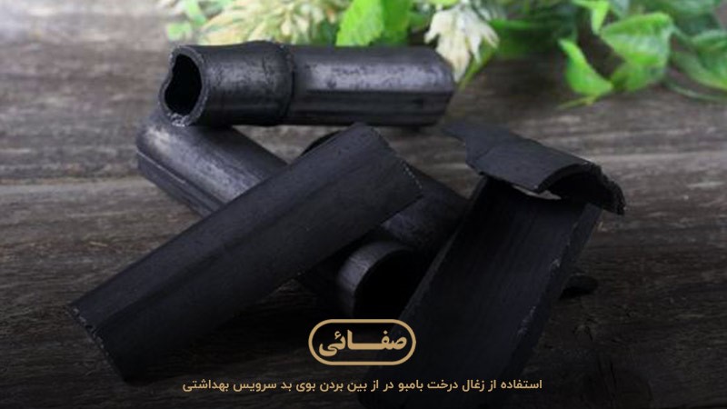 تاثیر زغال درخت بامبو در از بین بردن بوی توالت